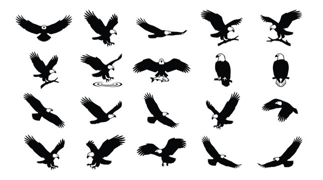 Set of eagle silhouettes in various poses