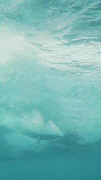 Mesmerizing underwater perspective showing a surfer gliding across the surface of a turquoise wave, with sunlight filtering through the churning water and creating a beautiful abstract effect
