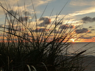 Obraz premium Scenic sunset view over the ocean through beach grass silhouettes.