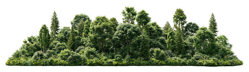 Fototapeta premium Lush green forest island landscape on transparent background
