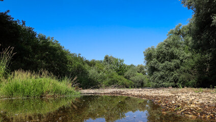 Fototapeta premium The clear, mirror-like water of a shallow river reflects the cloudless blue sky and dense green forests on its banks. A stony pebble shoal stretches along the riverbed, creating a cozy natural corner 