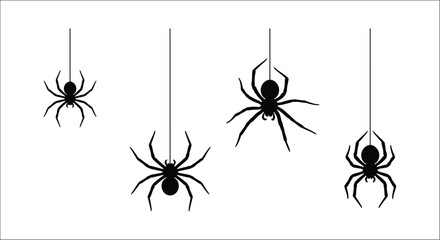 Black spider silhouettes hanging from threads on a white background arachnid arthropod creature dark eight legged halloween horror insect isolated legs macro monster night noir octopod © vector desgins 