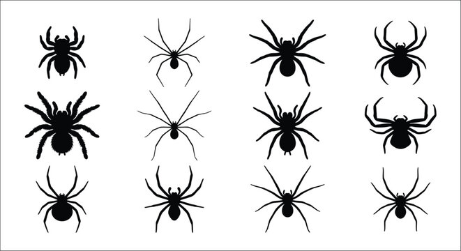 Black spider silhouettes arranged in a grid on a white background vector illustration arachnid arthropod black and white bug creature eight legged halloween insect invertebrate isolated legs night