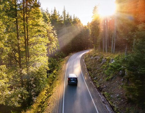 suv driving on a winding forest road with sunlight streaming through the trees