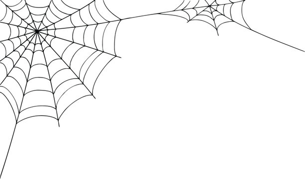 Black spider web illustration for halloween decoration