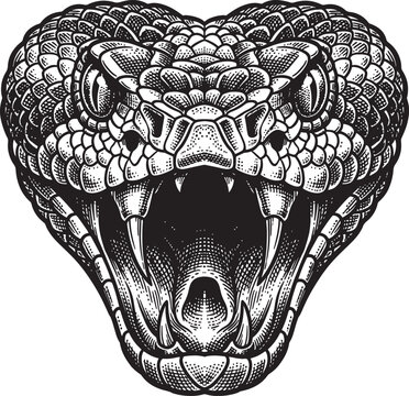 Fearsome rattlesnake head with open mouth in engraving style isolated on transparent background detailed viper serpent portrait vector illustration.