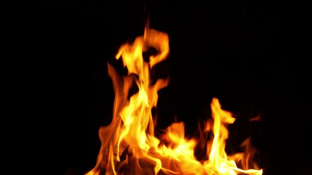 Dynamic bright fire flames burning in dark night against black background. Burning fire in outdoor fireplace close up.