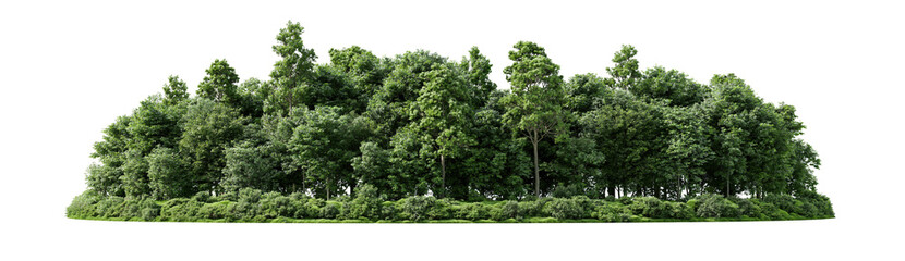 Fototapeta premium Lush green island of trees on transparent background