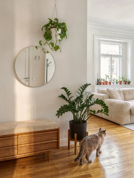 small round mirror in modern living room