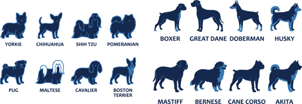 Set of various dog breed silhouettes with labels including Great Dane, Husky, and Pomeranian for editorial use
