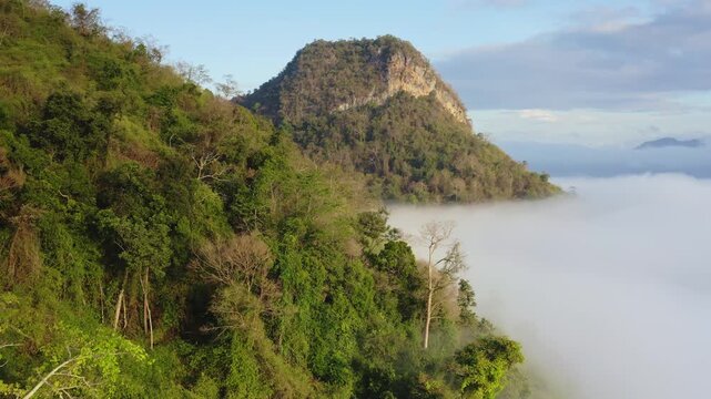 Lush green rainforest mountains of Khao Sok National Park in Thailand ascending from a thick layer of morning mist, showcasing the dramatic tropical landscape and natural beauty Drone flight panorama