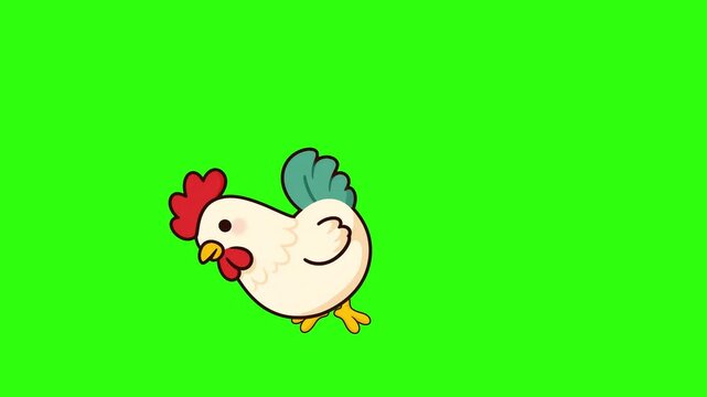 Cartoon chicken walking and looking down or pecking animation on green screen background. Loop farm animal character.