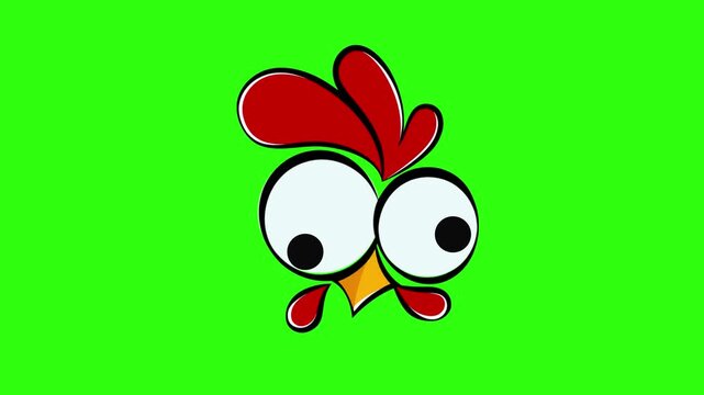 Funny cartoon chicken head with crazy googly eyes animation on green screen. Humorous loop animal character footage.