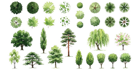 Set of various green trees for landscape design seen from top and side view ©  Designer