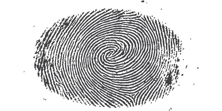 Black fingerprint swirl pattern showing unique human skin lines for biometric security scanning