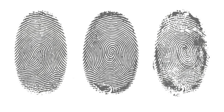 Three different human finger print patterns in black ink on a flat surface