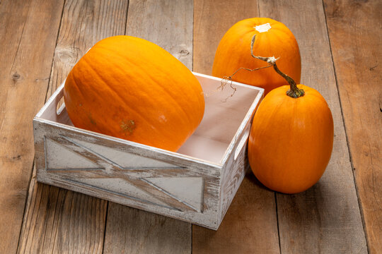 pumpkin in a rustic, white painted,  storage crate against weathered wood