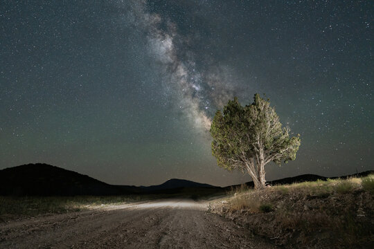 View of a lone tree illuminated on a dirt road under the starry night sky with the Milky Way galaxy visible above the desert landscape along the Pony Express Trail near Dugway, Utah, United States.