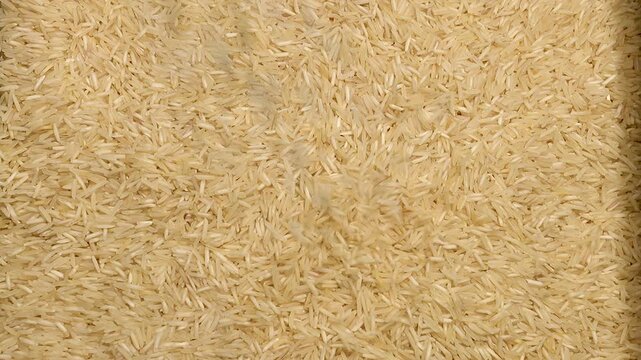 Slow motion of raw basmati rice grains falling on a pile, top view