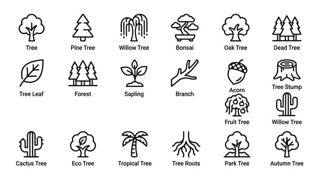 Tree types and forest elements collection including pine oak willow bonsai sapling and plant root icons for nature studies landscaping design and environmental projects.