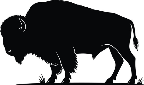 Silhouette of a bison standing on grassy terrain side view