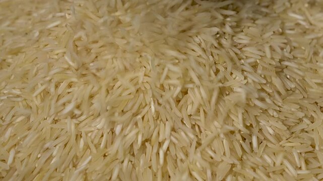 Pouring raw basmati rice grains in slow motion, macro view
