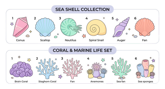 Collection of colorful cartoon sea shells and marine life illustrations
