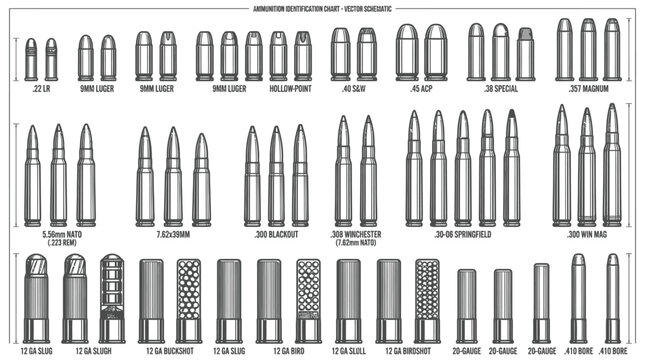 Detailed technical ammunition identification chart displaying various types of metallic bullet casings in black and white
