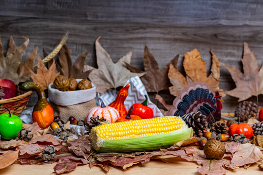 Thanksgiving harvest corn pumpkins nuts and autumn leaves