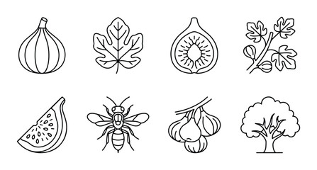 Fototapeta premium Fig Fruit Icons, Bee and Tree Vector Set: Organic Food, Nature Elements, Simple Line Art Collection