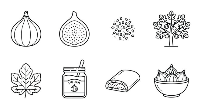 Fig Fruit Icons Set: Whole, Sliced, Seeds, Tree, Leaf, Jam, Bar, Bowl - Vector Graphics for Food and Health
