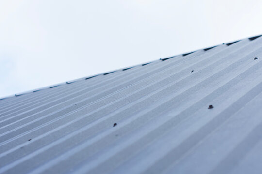 Corrugated metal roof panel with fastening screws and soft sky background illustrates durable modern cladding. Ideal for construction brochures, roofing services and industrial buildings.