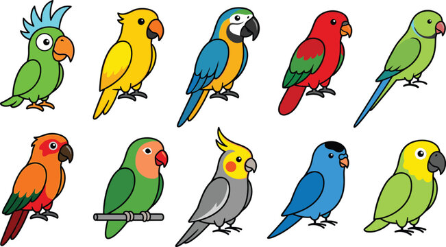 Tropical parrot and cockatoo birds color cartoon vector icon collection featuring cute exotic parakeet macaw lovebird and cockatiel wildlife character elements
