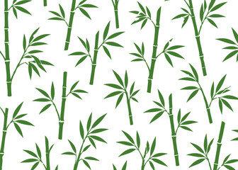Fototapeta premium Bamboo pattern. Minimalist pattern on a white background.