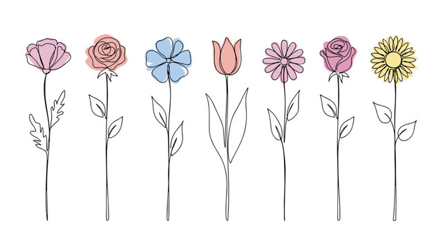 A collection of seven delicate one line art floral illustrations with pastel color accents representing different types of flowers and their stems and leaves