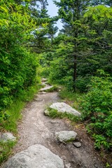 Fototapeta premium grandfather trail, NC
