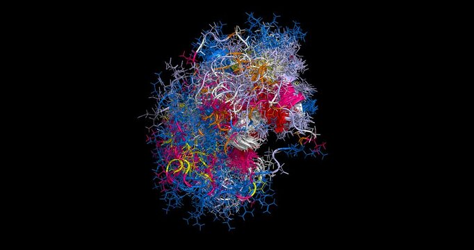 Human Nanog stem cell master protein, molecular key to cell regeneration 3D NMR solution structure 4K spinning