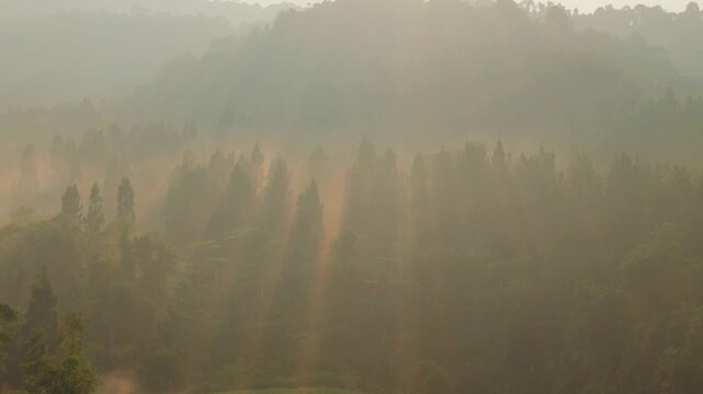 Aerial view of a misty forest with sunbeams filtering through the trees and a small structure on the hillside in West Java, Indonesia.