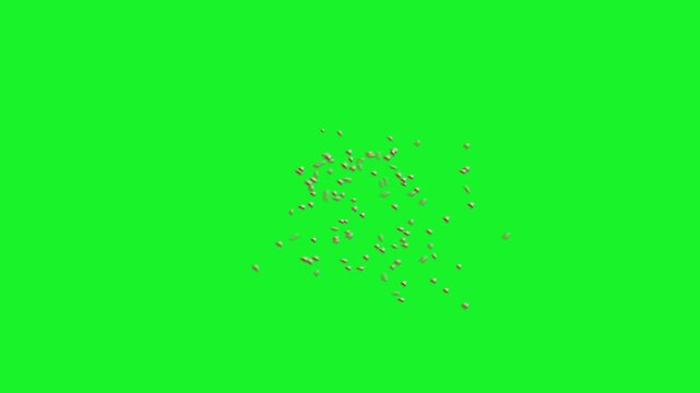 Detailed Macro Shot of a Colletes Bee Flying and Hovering Midair with Fast Wing Flapping and Pollen Dust Visible on Solid Chroma Key Green Background