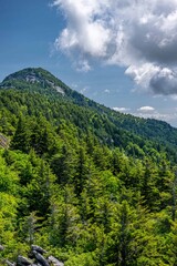 Fototapeta premium grandfather mountain, NC