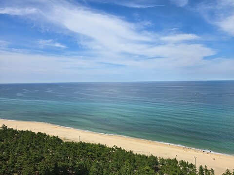 해변