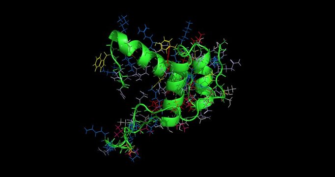 Human Nanog stem cell master protein, molecular key to cell regeneration 3D structure 4K spinning