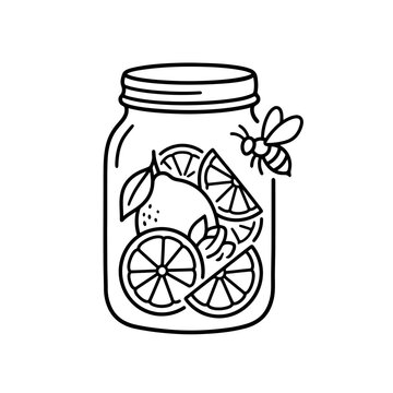 Hand-drawn illustration of a mason jar filled with citrus fruits and a bee