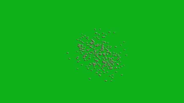 Detailed Macro Shot of a Swarm of Many Horse Flies Flying and Hovering Midair Together with Fast Aggressive Wing Beats on Solid Chroma Key Green Background