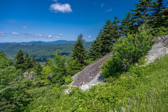 forrest gump curve, grandfather mountain, NC