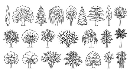 Fototapeta premium Various tree illustrations in a vector graphic design style