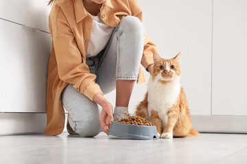 Young woman with food bowl feeding her cute cat in kitchen © Pixel-Shot