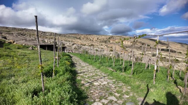 Uplistsikhe ancient rock-hewn town showing burgeoning vineyard and green grass with hills, a river, and adistant valley under cloudy sky, highlighting historical agriculture in Georgia near Gori city