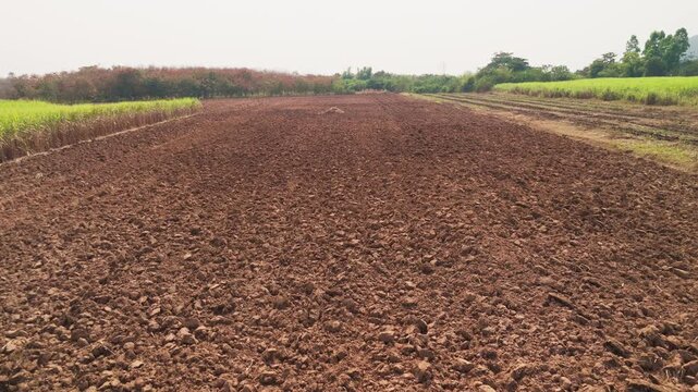 Drone aerial top view dry topsoil plowed supply chain sugar cane field eco farm net zero waste rural plant crop. The way forward asia go green carbon credit neutral ESG SDGs farmer agribusiness land.