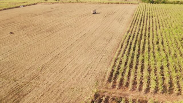 Drone aerial top view dry topsoil plowed supply chain sugar cane field eco farm net zero waste rural plant crop. The way forward asia go green carbon credit neutral ESG SDGs farmer agribusiness land.